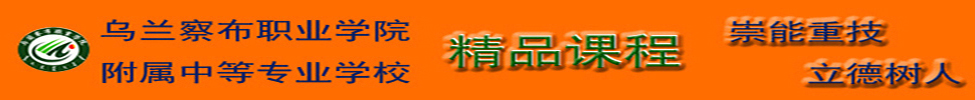 计算机应用基础精品课程